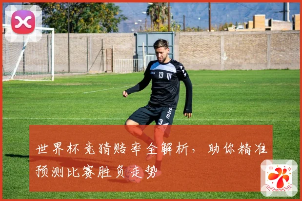 世界杯竞猜赔率全解析，助你精准预测比赛胜负走势