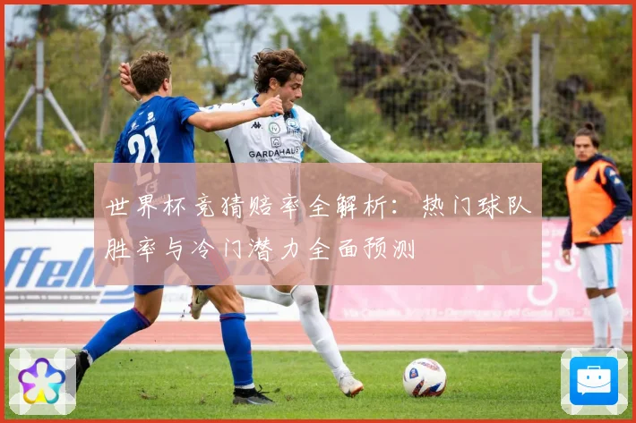 世界杯竞猜赔率全解析：热门球队胜率与冷门潜力全面预测