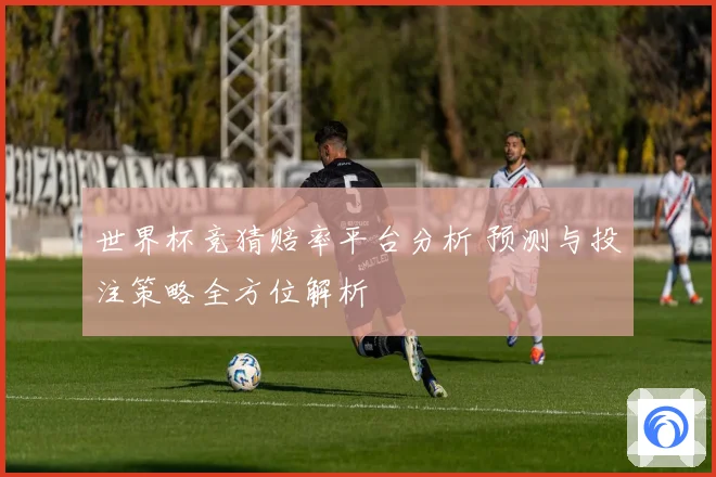 世界杯竞猜赔率平台分析 预测与投注策略全方位解析